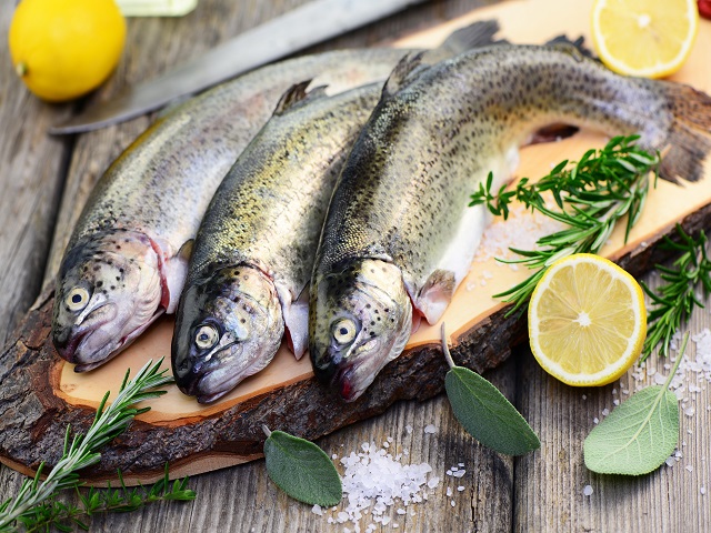 kaufen Frische Emder-Fisch-Feinkost online | Forelle