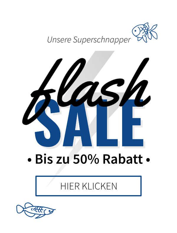 Flash-Sale | Unsere Superschnapper